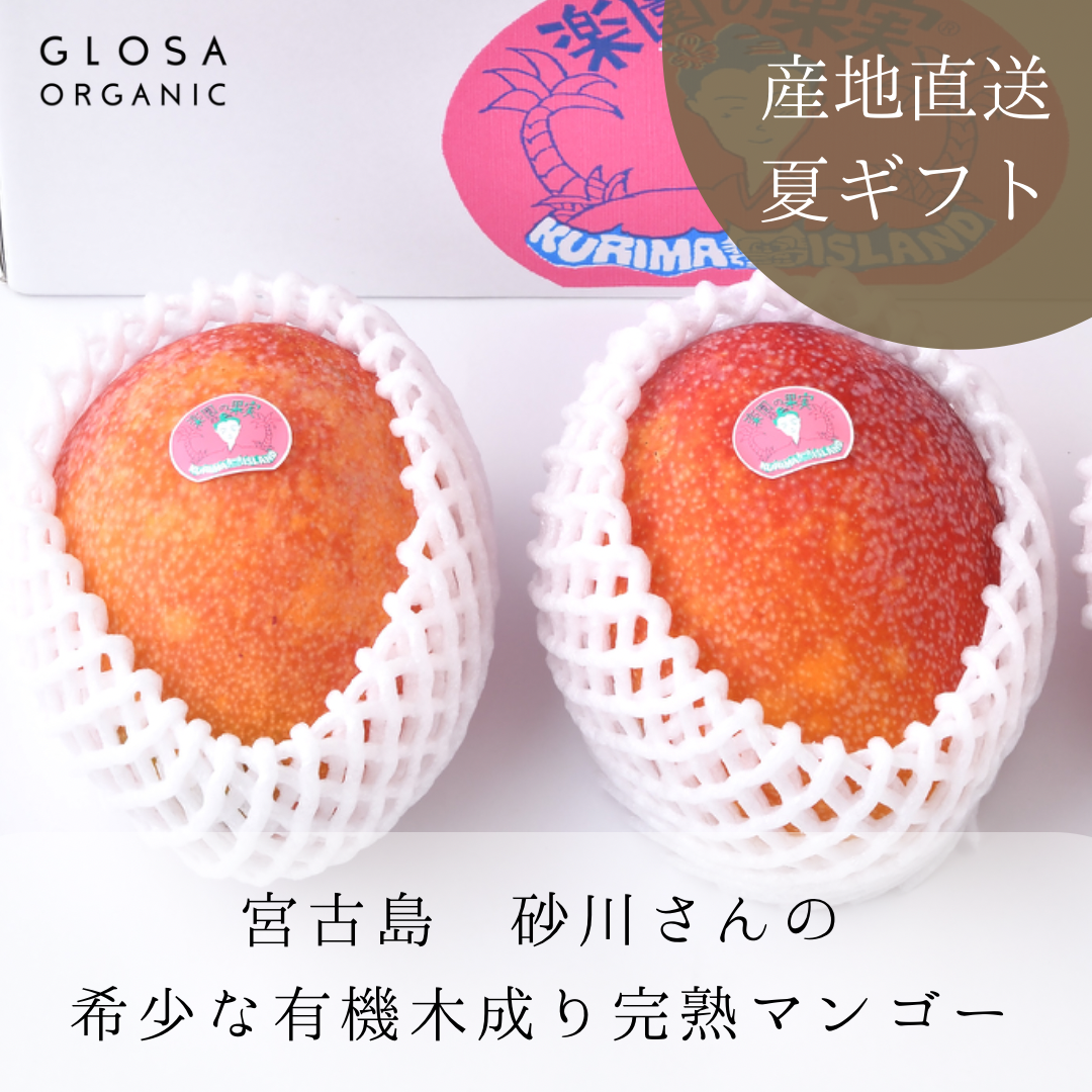 お中元/夏ギフトのご予約スタートしました