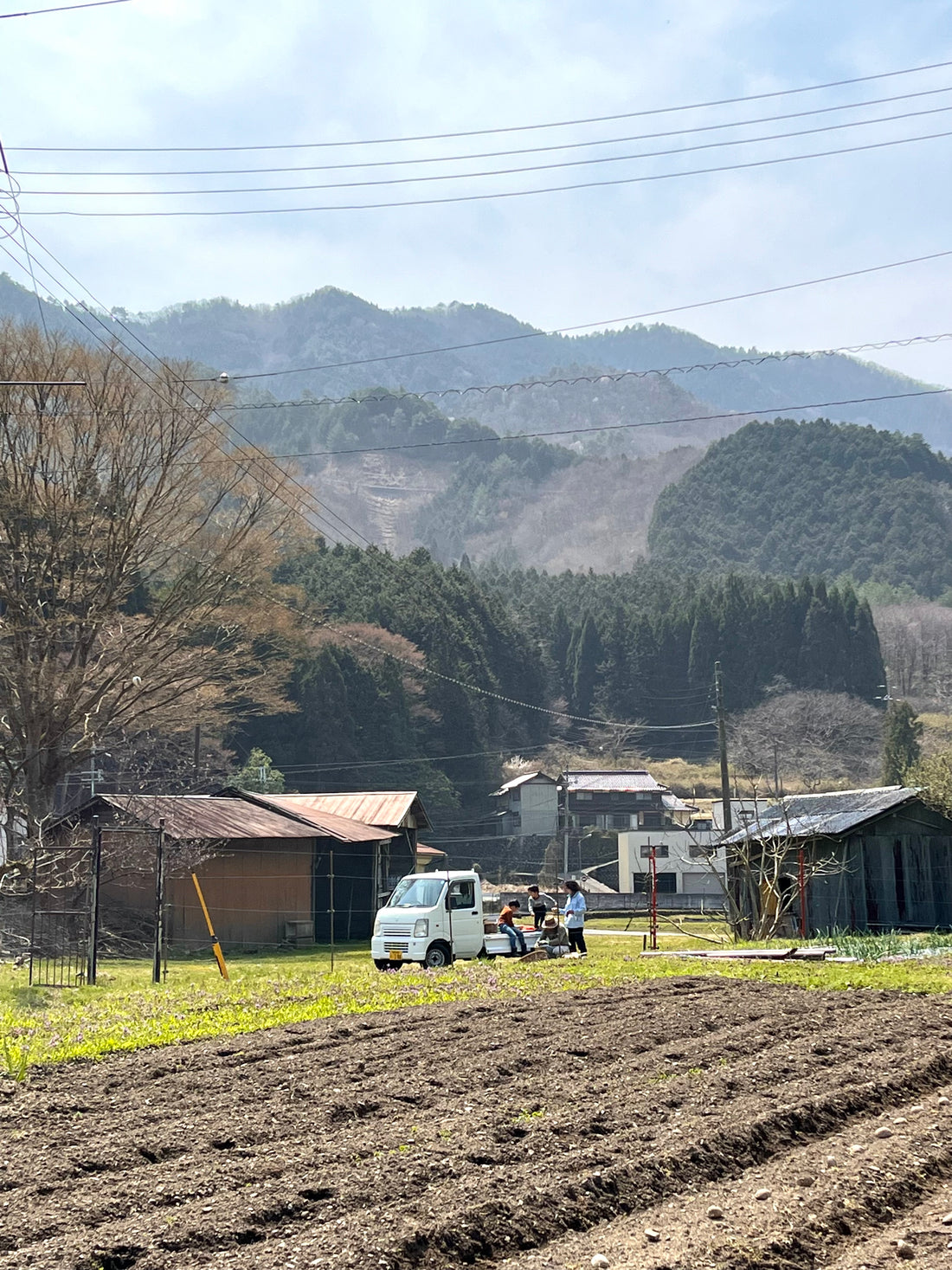 GLOSA畑での野菜作り