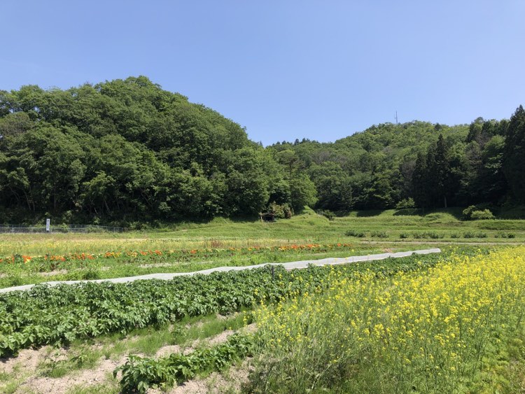 GLOSA FARM 体験 @丹波篠山
