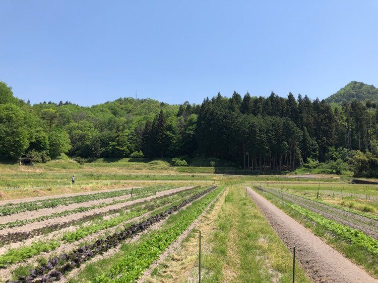 GLOSA FARM 体験 @丹波篠山
