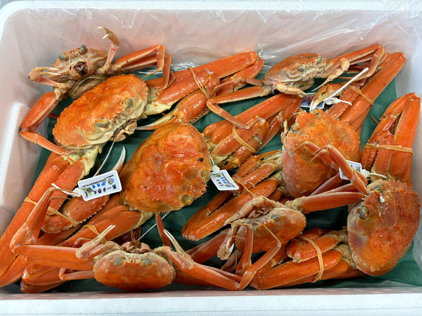 ミシュランシェフ御用達!浜坂漁港直送の"生"松葉ガニ