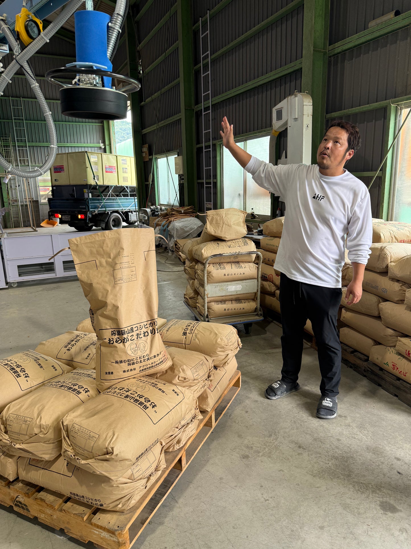 丹波篠山産 農薬不使用栽培 コシヒカリ白米 2kg×2袋 2025年度産販売
