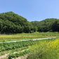 GLOSA FARM 体験　＠丹波篠山