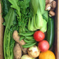 農薬不使用野菜・有機野菜セット　西日本産または北海道産