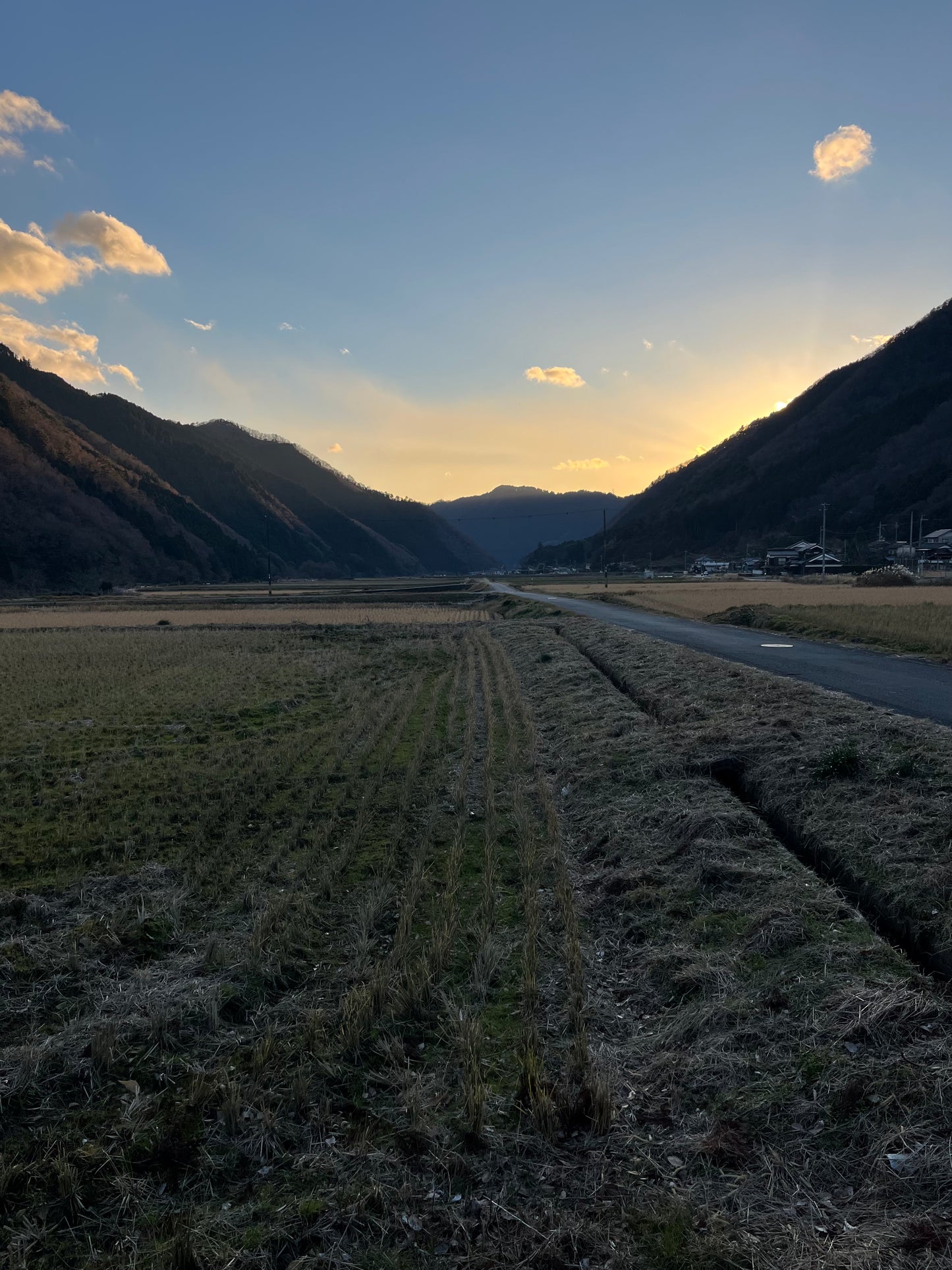 GLOSA代表実家のお米　兵庫県宍粟市産コシヒカリ玄米2kg×2袋　農薬使用減