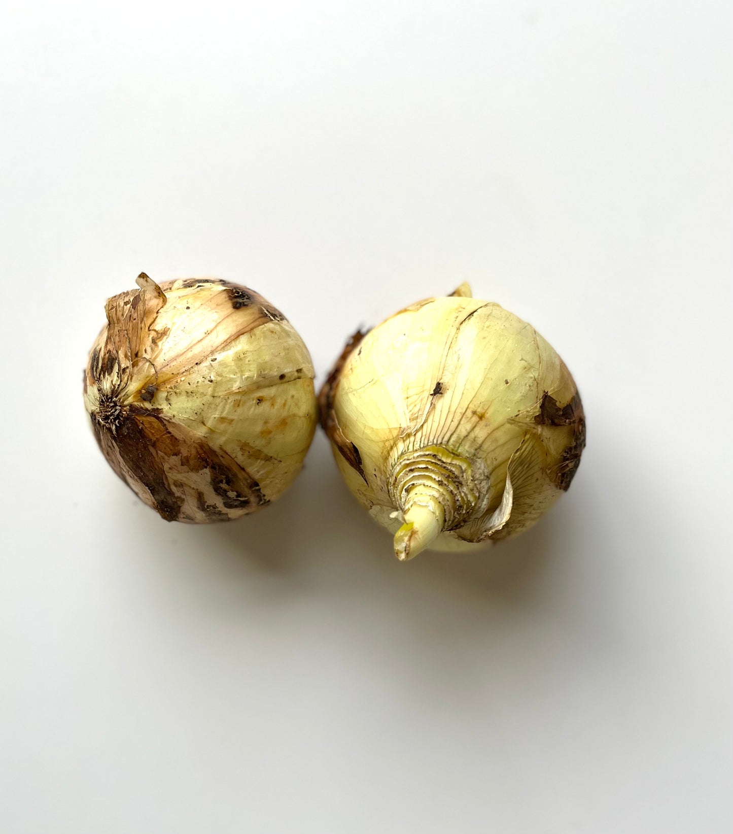 農薬不使用野菜・有機野菜セット　西日本産または北海道産