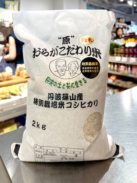 特選‼️丹波篠山産コシヒカリ10kg 採れたてのスナップエンドウ150gをおまけ 特選‼️丹波篠山産コシヒカリ10kg 採れたてのスナップエンドウ