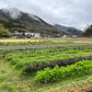GLOSA FARM 体験　＠丹波篠山