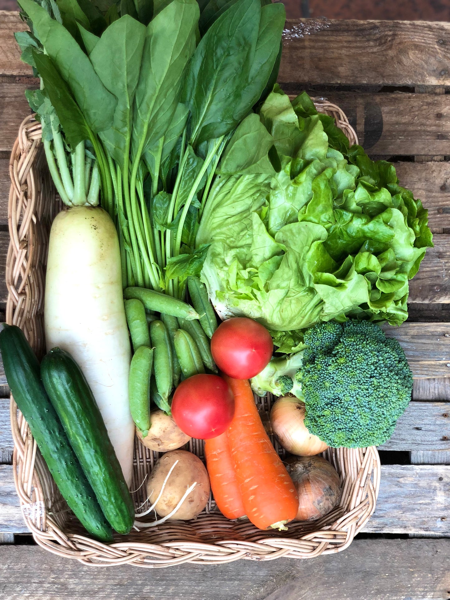 農薬不使用野菜・有機野菜セット　西日本産または北海道産