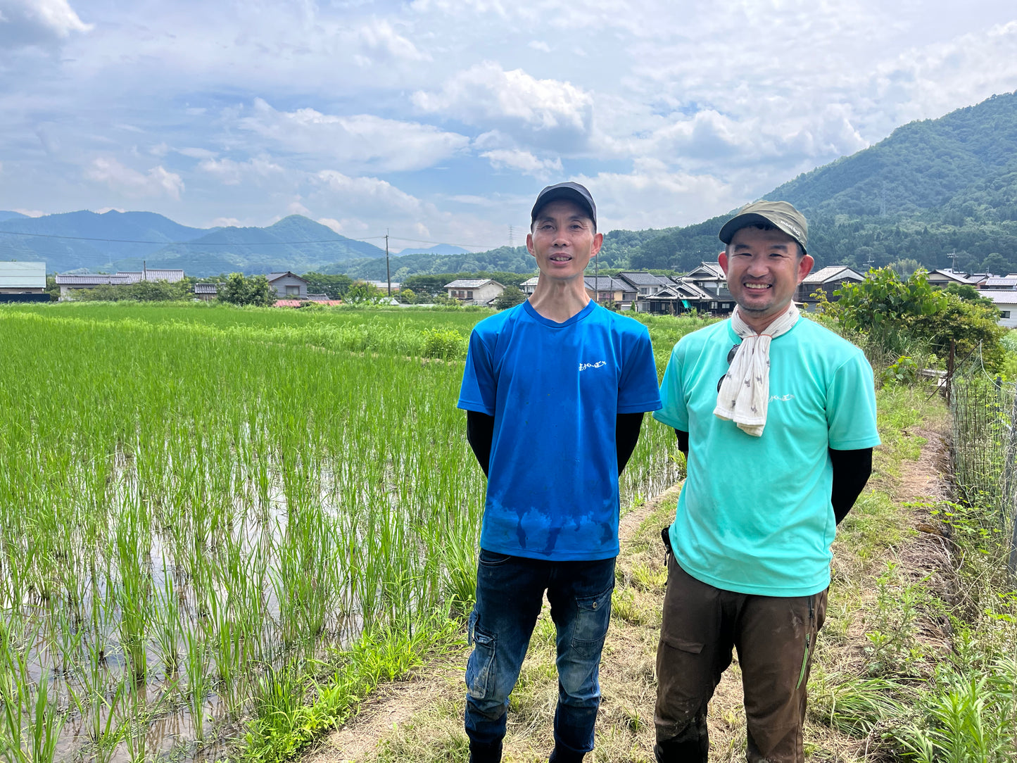 兵庫県産　自然栽培ササニシキ玄米2kg×2袋　農薬肥料不使用