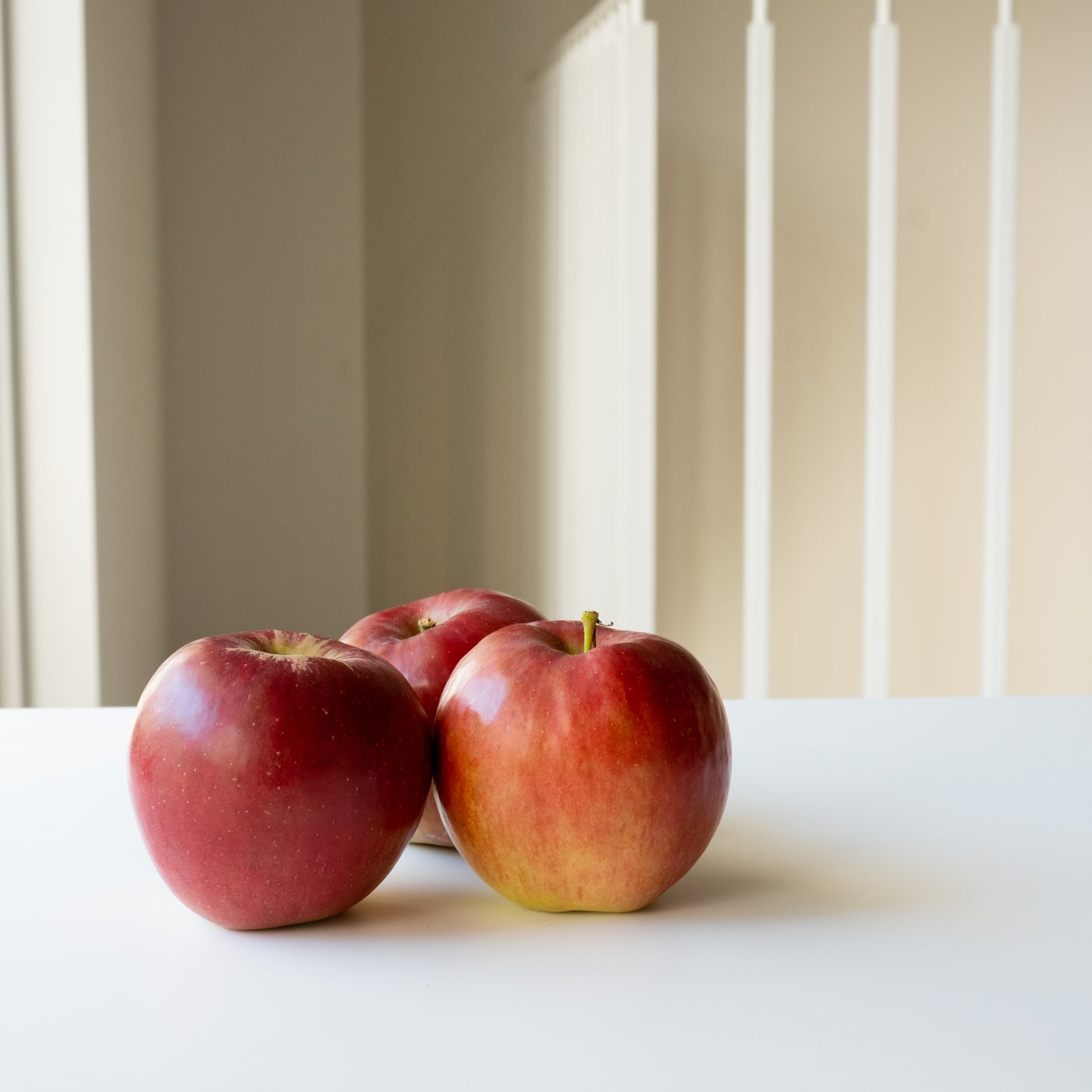 長野産 水野さんの肥料不使用 農薬使用減のりんご　【お得用】約10kg