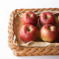 長野産 水野さんの肥料不使用 農薬使用減のりんご　【お得用】約10kg